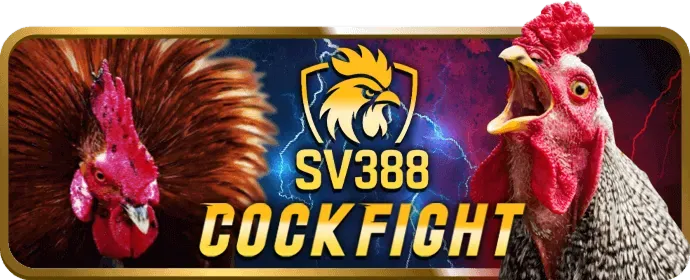 Hướng dẫn cá cược thể thao thông minh V99